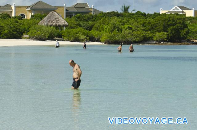 Cuba Cayo Santa Maria Iberostar Ensenachos En el lado oeste de la playa, hay un poco de pescado.