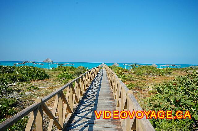 Cuba Cayo Santa Maria Sol Cayo Santa Maria Près de la plage.