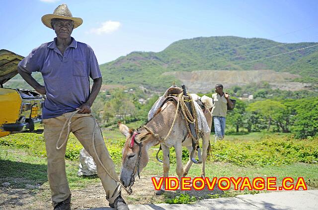 Cuba Santiago de Cuba Melia Santiago de Cuba Un cubano con un burro.