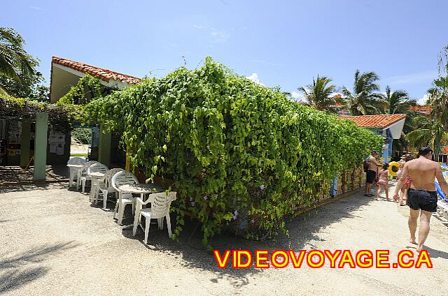 Cuba Varadero Barcelo Arenas Blancas La terrasse du snack bar El Cactus est recouverte de végétation.