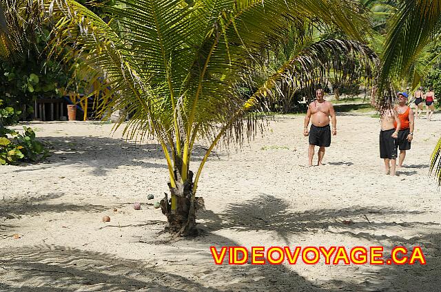 Cuba Varadero ROC Arenas Doradas You can play bocce on the beach.