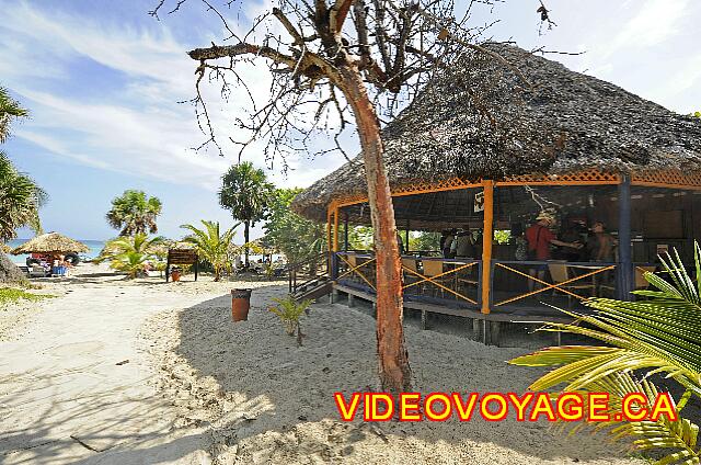 Cuba Varadero ROC Arenas Doradas Le bar de la plage