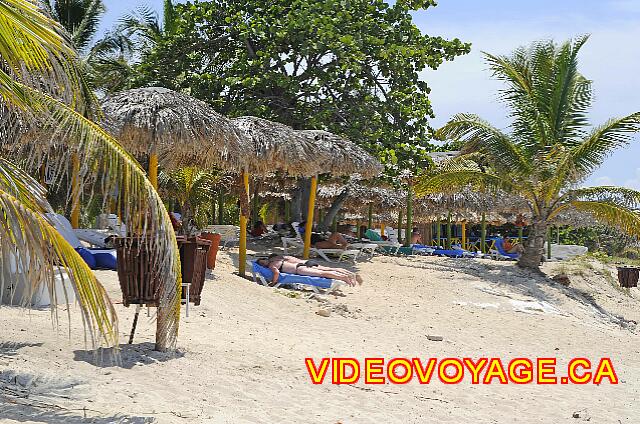 cuba Varadero ROC Barlovento Peu d'espace entre les palapas, à l'extrémité le bar de la plage.