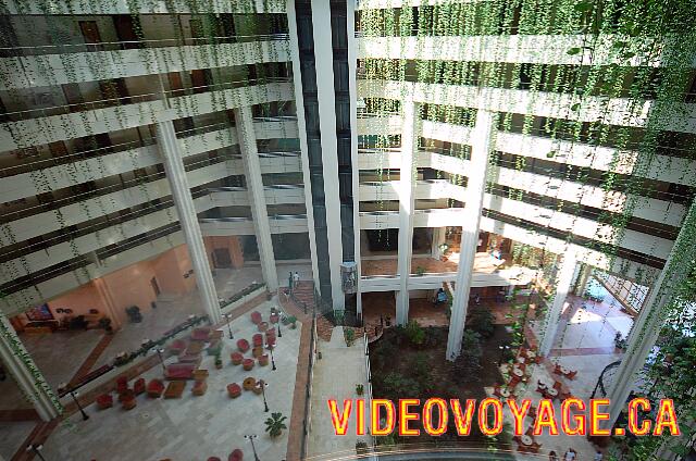 Cuba Varadero blau Varadero Plants along the floors.