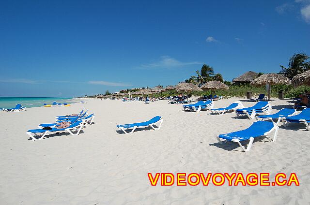 Cuba Varadero Breezes Varadero De nombreuses chaises longues. Peu de palmier sur le bord de la plage.