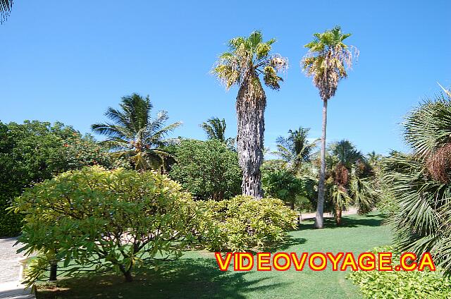 Cuba Varadero Breezes Varadero Abundant vegetation on the site.