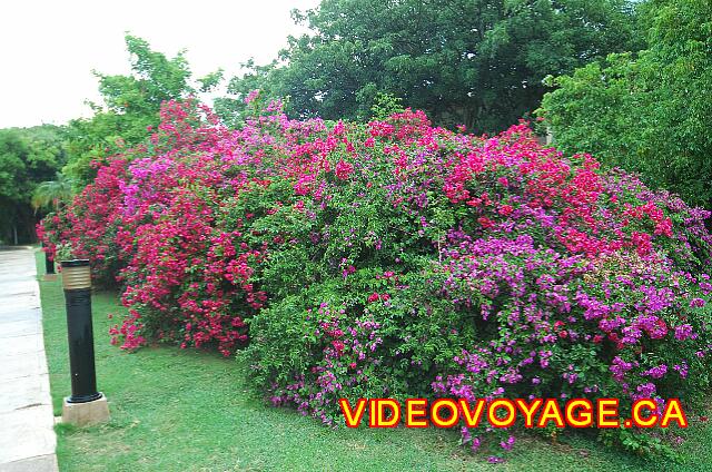 Cuba Varadero Breezes Varadero Beautiful colors on the site.