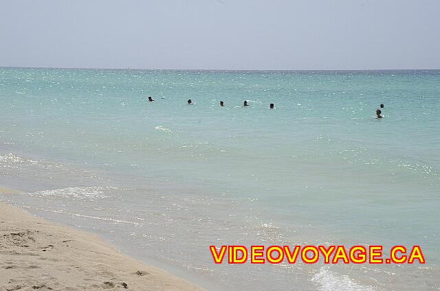 Cuba Varadero Brisas del Caribe A translucent water, no seaweed, no reef, a gentle slope, ...