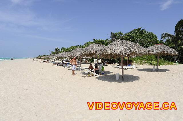 Cuba Varadero Brisas del Caribe Many parasols and deck chairs on a length of 250 meters. A deep beach, fine white sand.
