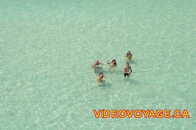 Cuba Varadero Club Amigo Aguas Azules Agua y arena sólo ... Los clientes que parecen nadar gustado.