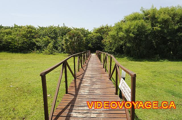 Cuba Varadero Club Amigo Aguas Azules A second way, which allows the wildlife to live.
