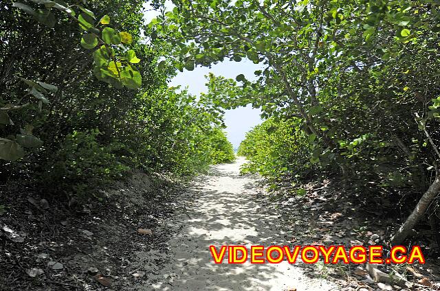 Cuba Varadero Club Amigo Aguas Azules But this road ends in sand too, which makes access for wheelchairs impossible. This road goes on the west side, so far from the bar, but near the bungalows.