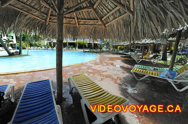 Cuba Varadero Hotel Club Tropical A pocos palapas en el borde de la piscina.