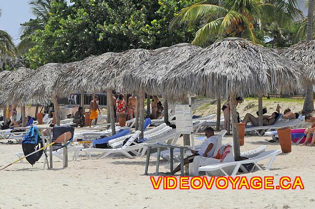 Cuba Varadero Starfish Cuatro Palmas Le responsable des sports nautique sous le palapas qui attend les clients.