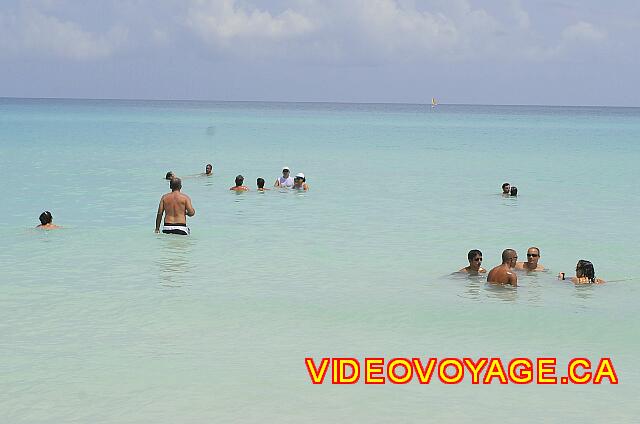 Cuba Varadero Starfish Cuatro Palmas Habituellement, les vagues sont plus importantes...