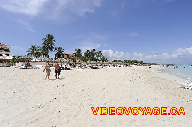 Cuba Varadero Starfish Cuatro Palmas La plage vers l'ouest, la plage public de Varadero.