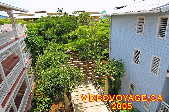 Cuba Varadero Royalton Hicacos Resort And Spa Vegetación abundante entre los edificios no impide la visión desde los balcones situados en el otro lado.