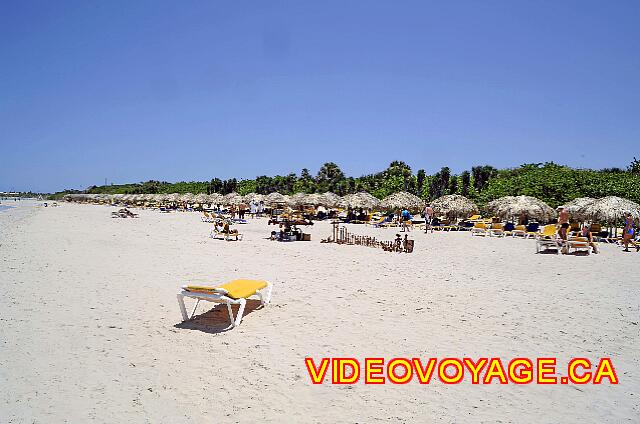 Cuba Varadero Royalton Hicacos Resort And Spa Some customers bring their chairs closer to the sea, finding the deep beach.