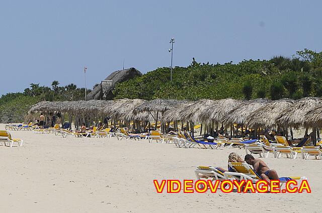 Cuba Varadero Royalton Hicacos Resort And Spa The many palapas and loungers ...