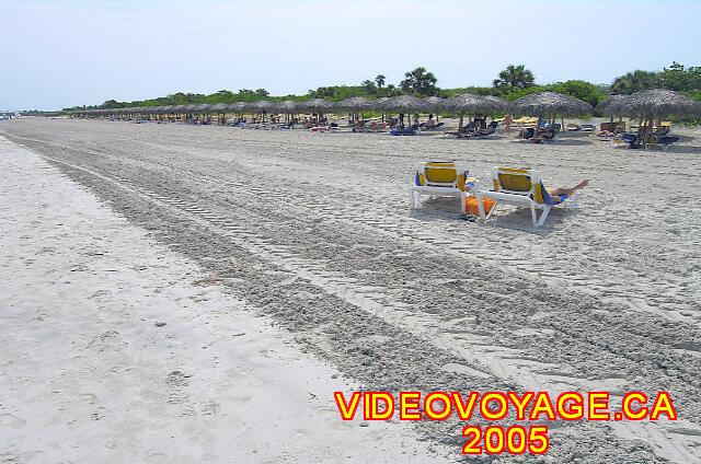 Cuba Varadero Royalton Hicacos Resort And Spa A tout les matins un nettoyage systèmatique de la plage. Il n'y a pas de rejet d'algues ou d'herbes sur cette plage.