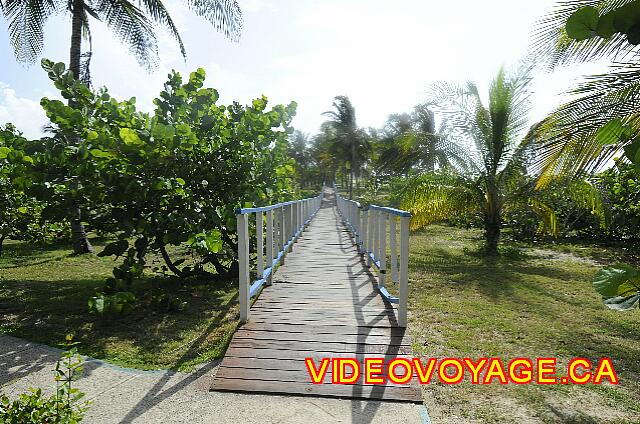 Cuba Varadero Hotel Club Kawama A site with a lot of vegetation that is fun to explore.