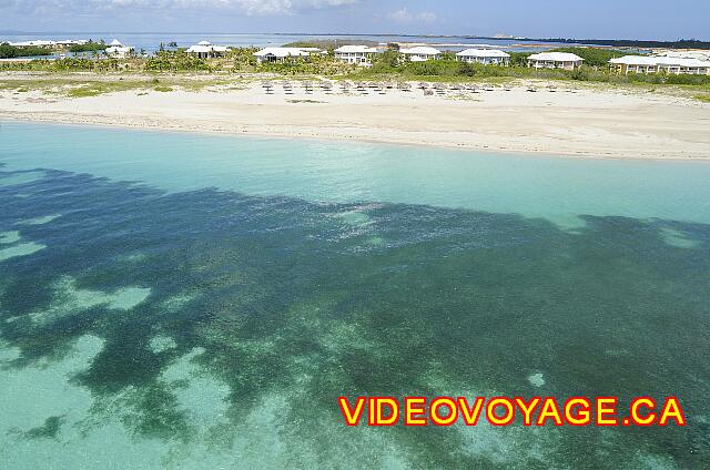 Cuba Varadero Blau Marina Varadero Cerca de Cayo Libertad, hay otras palapas, pero sin tumbona o servicio, por lo que una zona desierta. Una gran cantidad de algas marinas a 50 metros de la orilla, las olas son mucho menos presentes aquí.