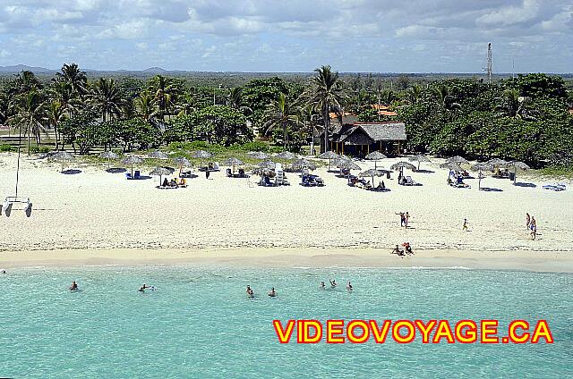 Cuba Varadero Oasis Islazul The palm trees are quite loins from the beach. They are too loins to have a lounge chair in the shade of a tree.