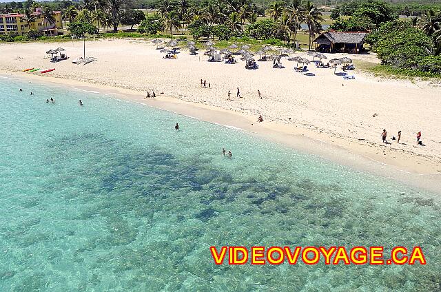 Cuba Varadero Oasis Islazul A portion of the bottom of the ocean with lots of seaweed, not conducive to swimming.
