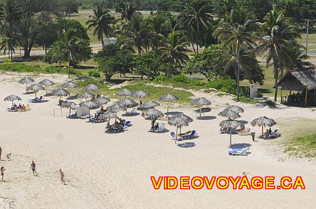 Cuba Varadero Oasis Islazul With nearly 30 palapas on the beach, it may lack palapas in high season.