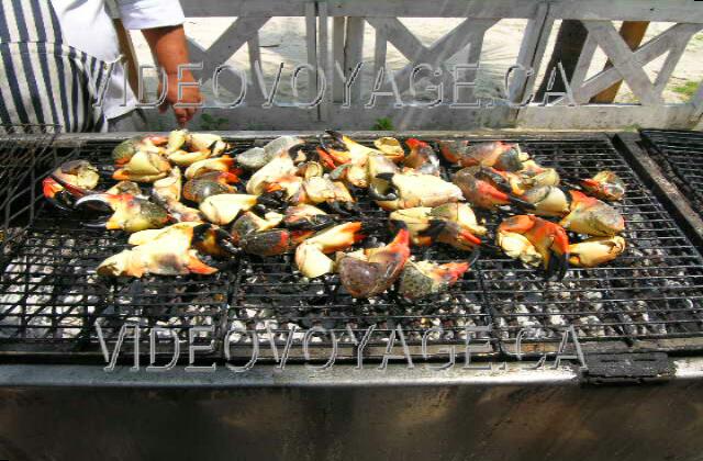 Cuba Varadero Paradisus Varadero Des pinces de crabes