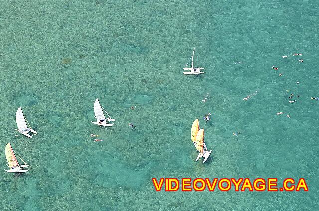 Cuba Varadero Paradisus Varadero Many catamaran will go to the area to snorkel, fish are numerous.