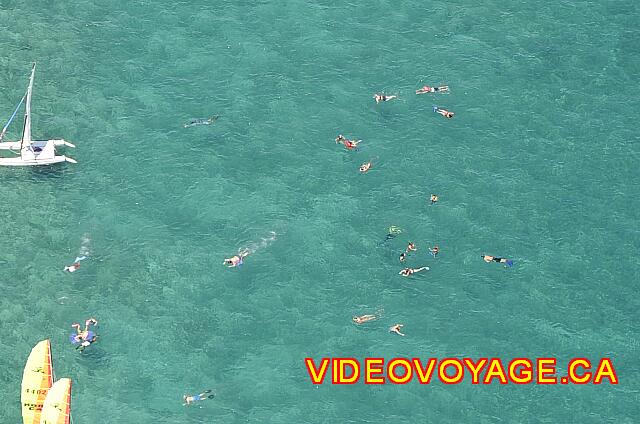 Cuba Varadero Paradisus Varadero Many tourists in the ocean ...