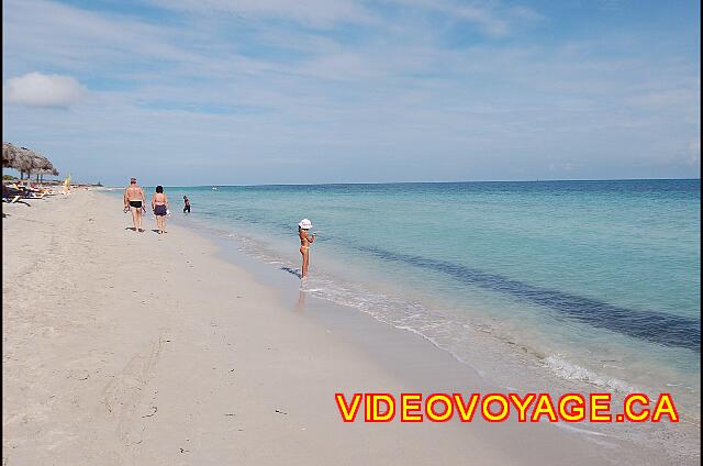 Cuba Varadero Playa Alameda Una arena blanca y fina. Las algas en suspensión a la entrada en el mar.