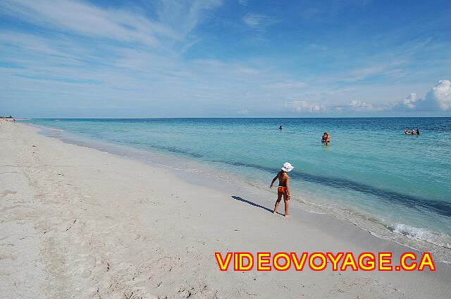 Cuba Varadero Playa Alameda De l'algue à 35 mètres du bord.