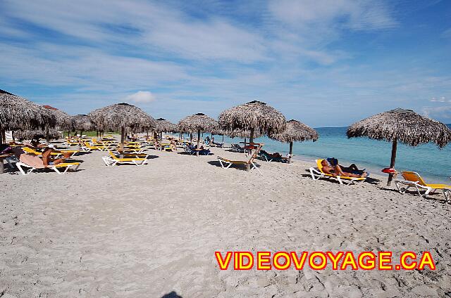 Cuba Varadero Playa Alameda De nombreux parasols et chaises longues.