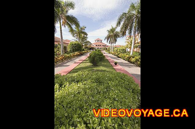 Cuba Varadero Playa Alameda A mature vegetation, nice landscaping.