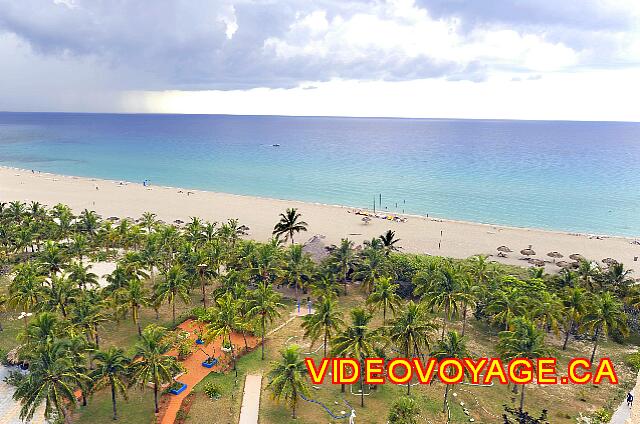 Cuba Varadero Bellevue Puntarena Playa Caleta Resort Palm trees on the beach.