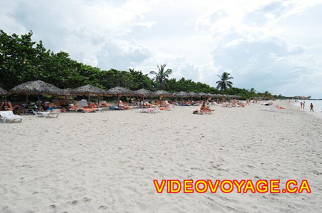 Cuba Varadero Mercure Playa De Oro The beach west. Many umbrellas and enough chairs. Especially leafy trees on the beach, few palm.