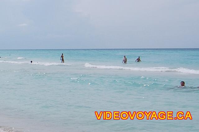 Cuba Varadero Mercure Playa De Oro Un banco de arena de 20 o 30 metros de distancia.