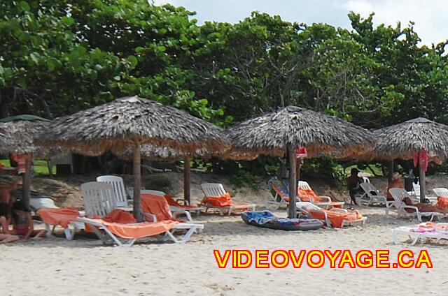 Cuba Varadero Mercure Playa De Oro Two rows of umbrellas.