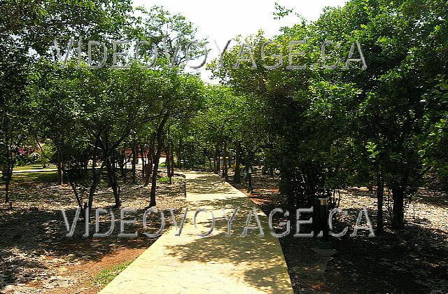 Cuba Varadero Naviti Varadero A nice way between the main building and the beach. Some stairs!