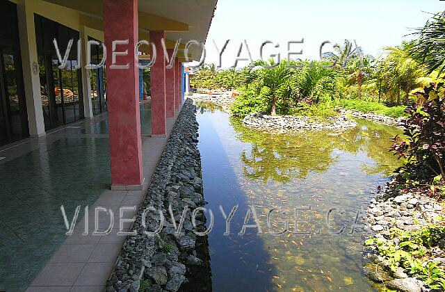 Cuba Varadero Naviti Varadero Une mare d'eau avec de très nombreux petits poissons.