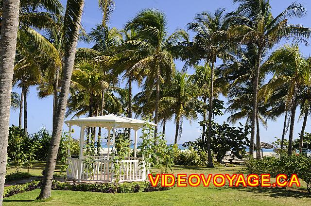 Cuba Varadero Bellevue Puntarena Playa Caleta Resort Les joueurs sont toujours faciles à trouver...