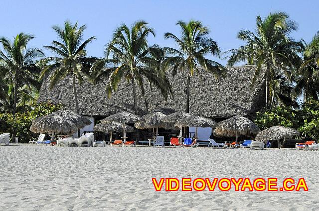 Cuba Varadero Bellevue Puntarena Playa Caleta Resort Des palapas près du bar de la plage.