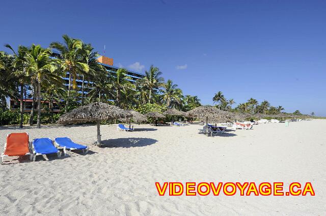 Cuba Varadero Bellevue Puntarena Playa Caleta Resort Les palapas près du bar de la plage.