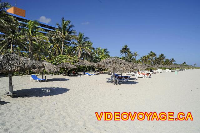 Cuba Varadero Bellevue Puntarena Playa Caleta Resort Con palmeras a lo largo de la playa.