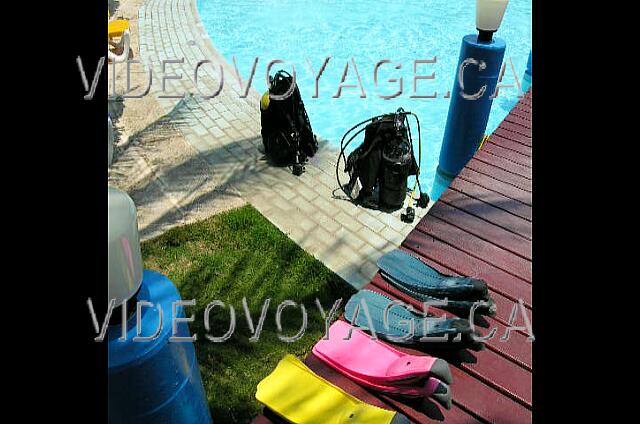 Cuba Varadero Be Live Experience Turquesa Des cours de plongé sont disponibles dans la piscine.