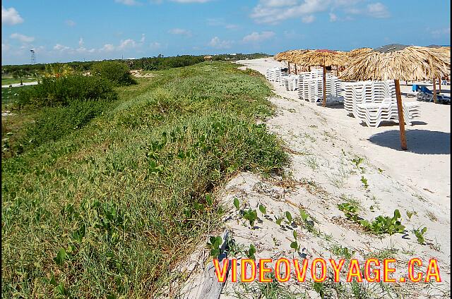 Cuba Varadero Memories Varadero Beach Resort Hierbas en la playa tienen espinas, que no impide que pasan a través de las rutas de acceso a la playa.