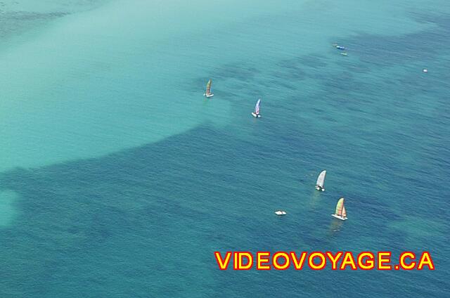 Cuba Varadero Melia Varadero Many hotels of various catamarans come here to snorkel. Many fish but little diversity.