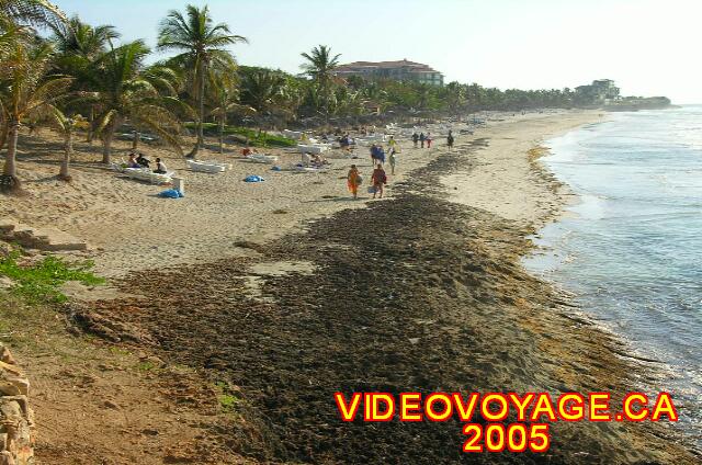 Cuba Varadero Melia Varadero A deeper range in 2005.